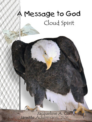 cover image of A Message to God